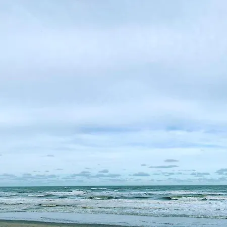 Seasight A4 Located Directly On The * ניופורט